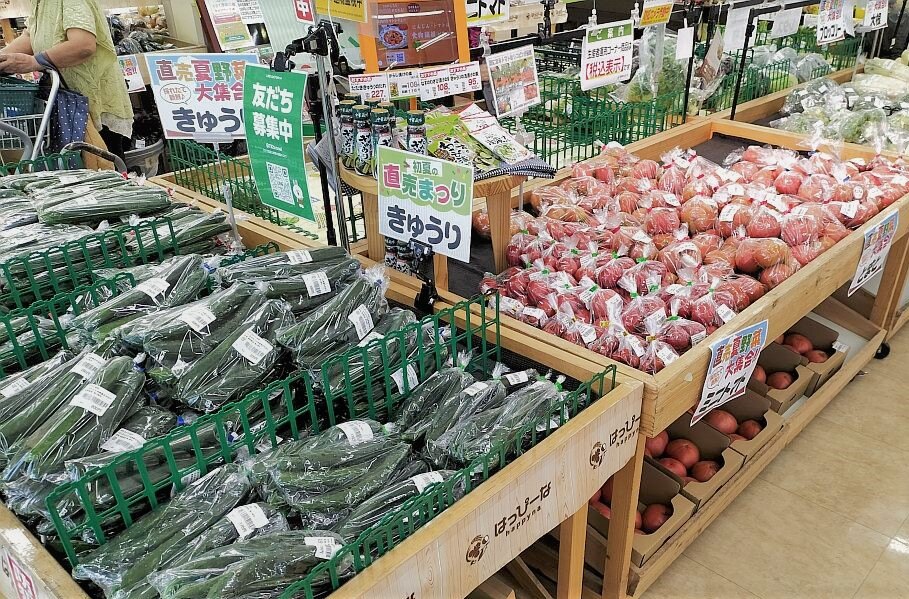 夏野菜各種_ina